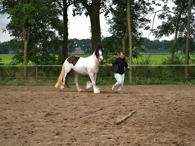 Afbeelding