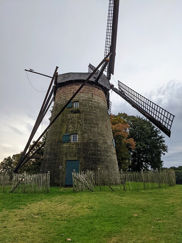Afbeelding