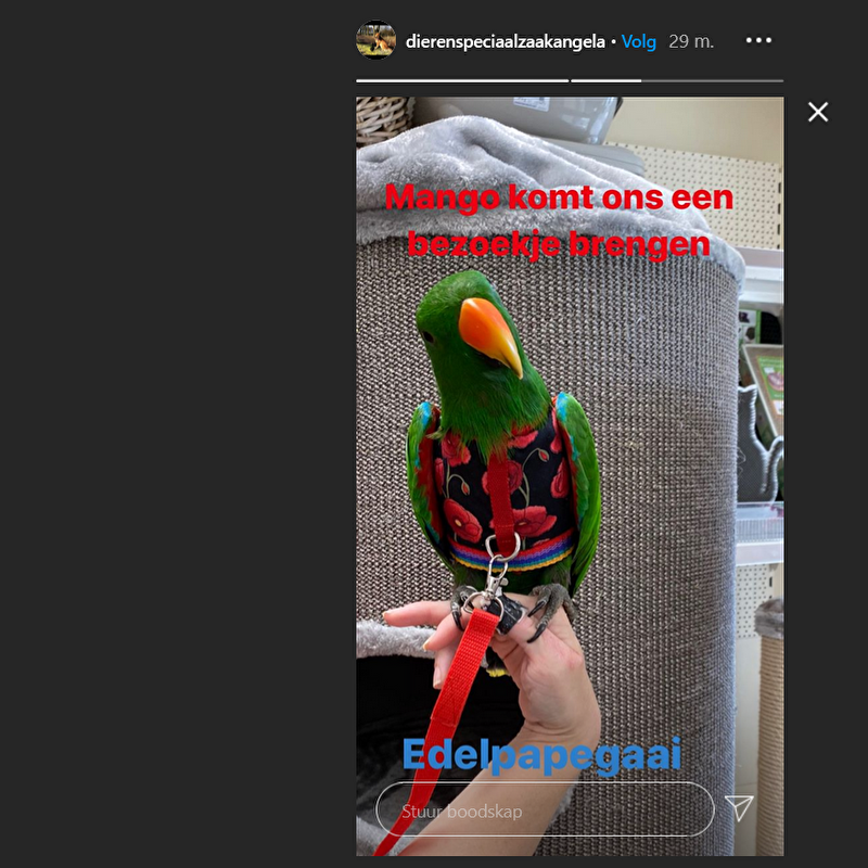 Afbeelding