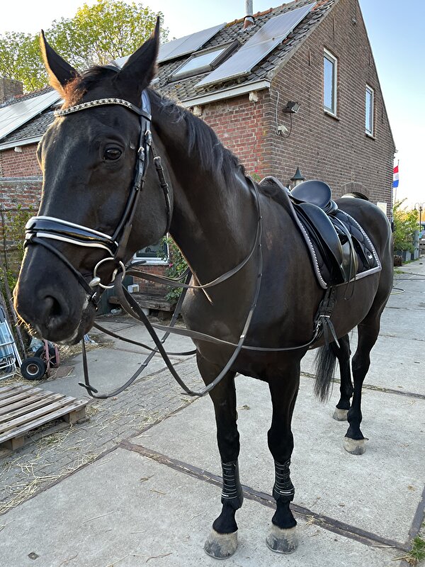 Afbeelding