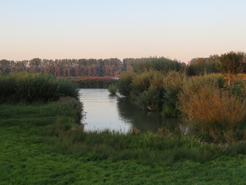 Afbeelding
