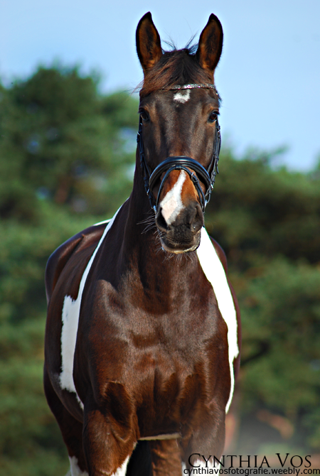Afbeelding
