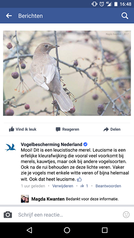 Afbeelding