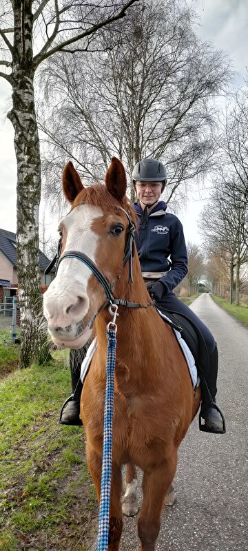 Afbeelding