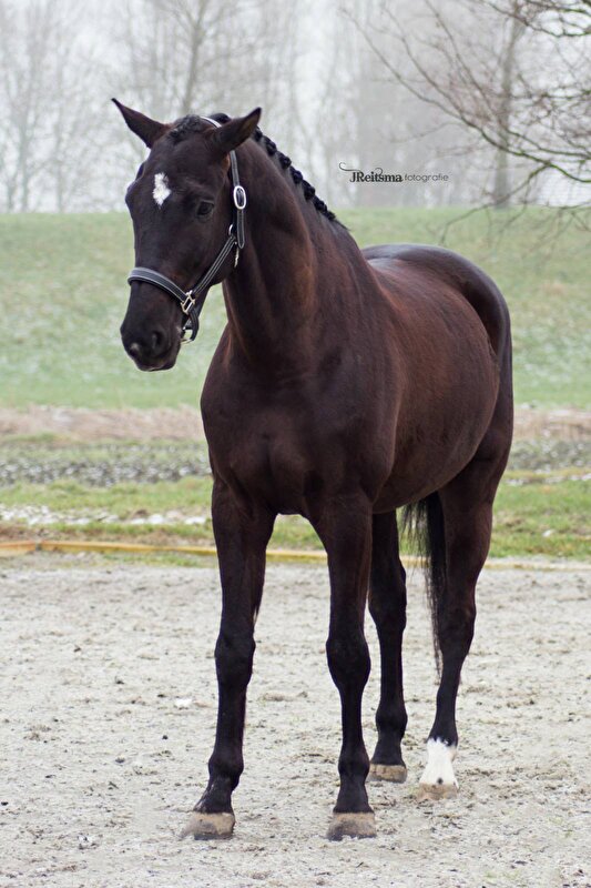 Afbeelding