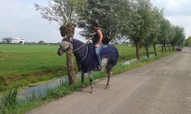 Afbeelding