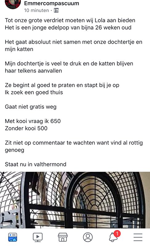 Afbeelding