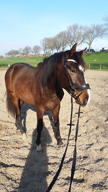 Afbeelding