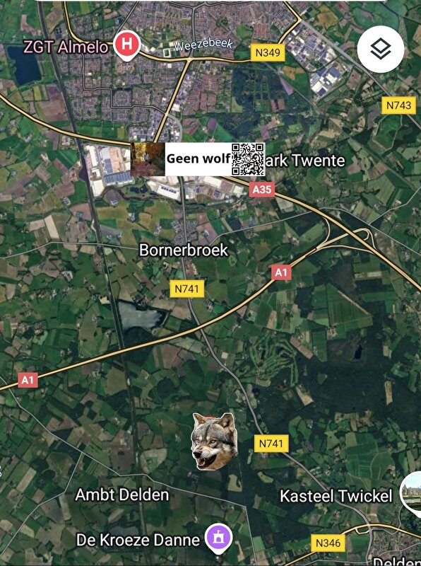Afbeelding