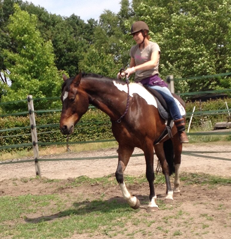 Afbeelding