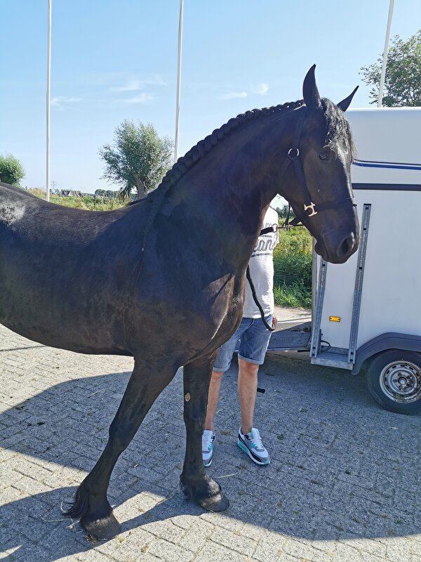Afbeelding