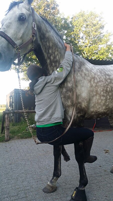 Afbeelding