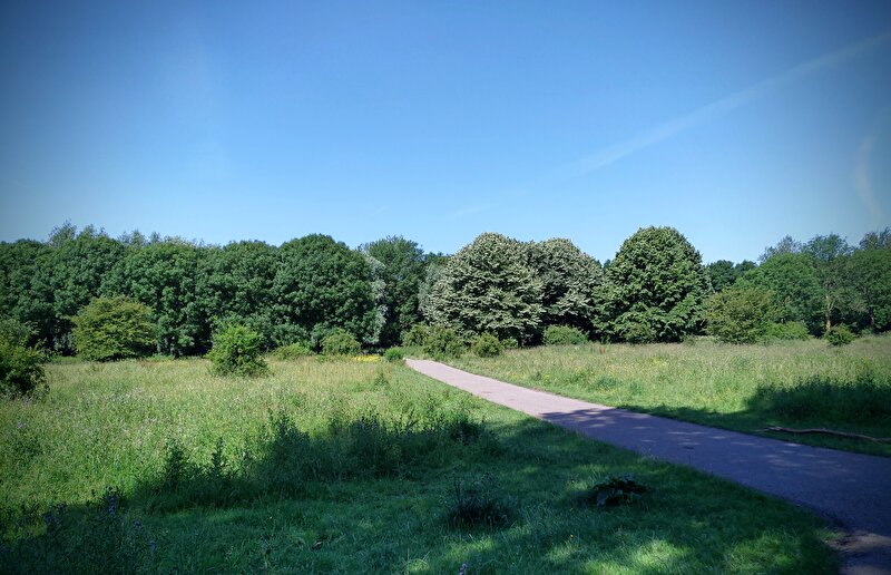 Afbeelding