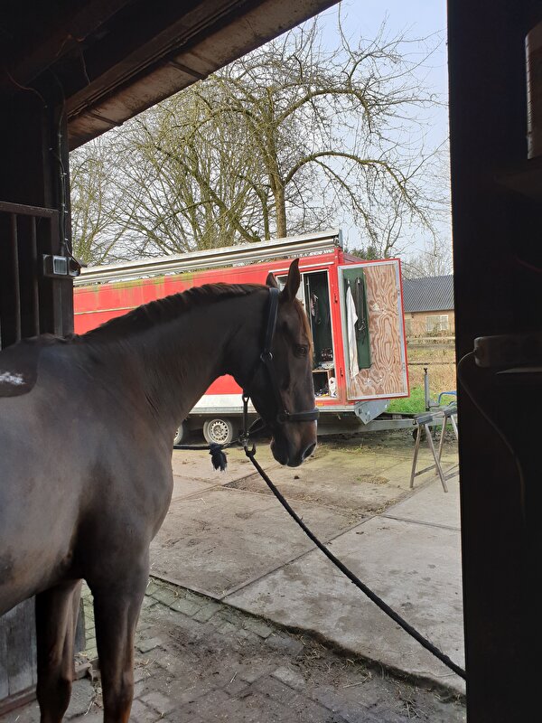 Afbeelding