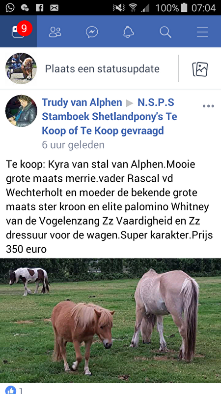 Afbeelding
