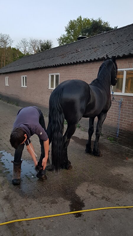 Afbeelding