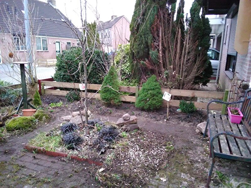Afbeelding