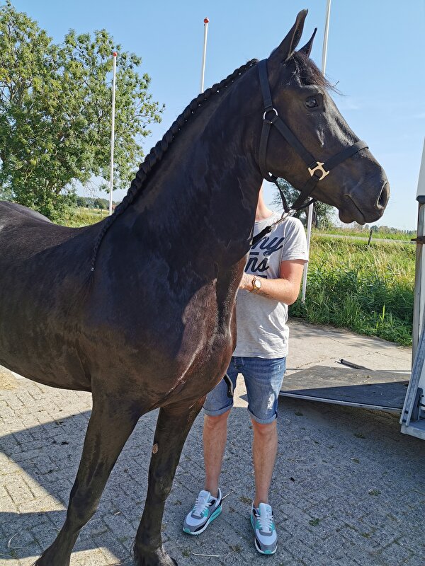 Afbeelding