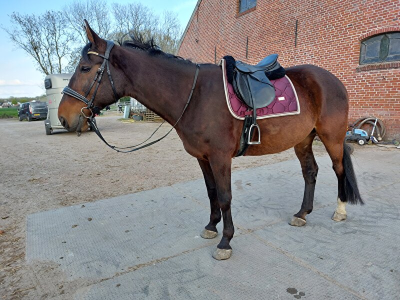 Afbeelding