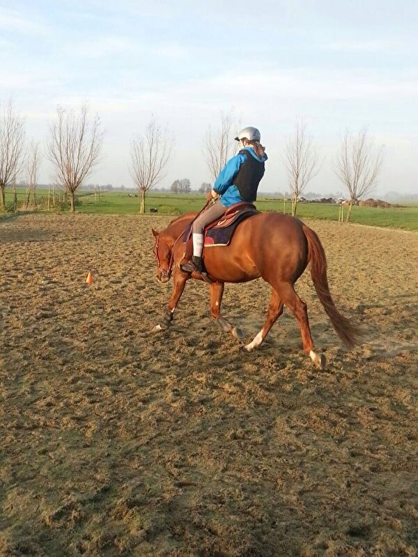 Afbeelding