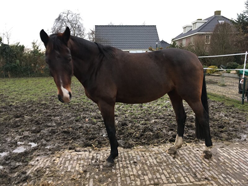 Afbeelding