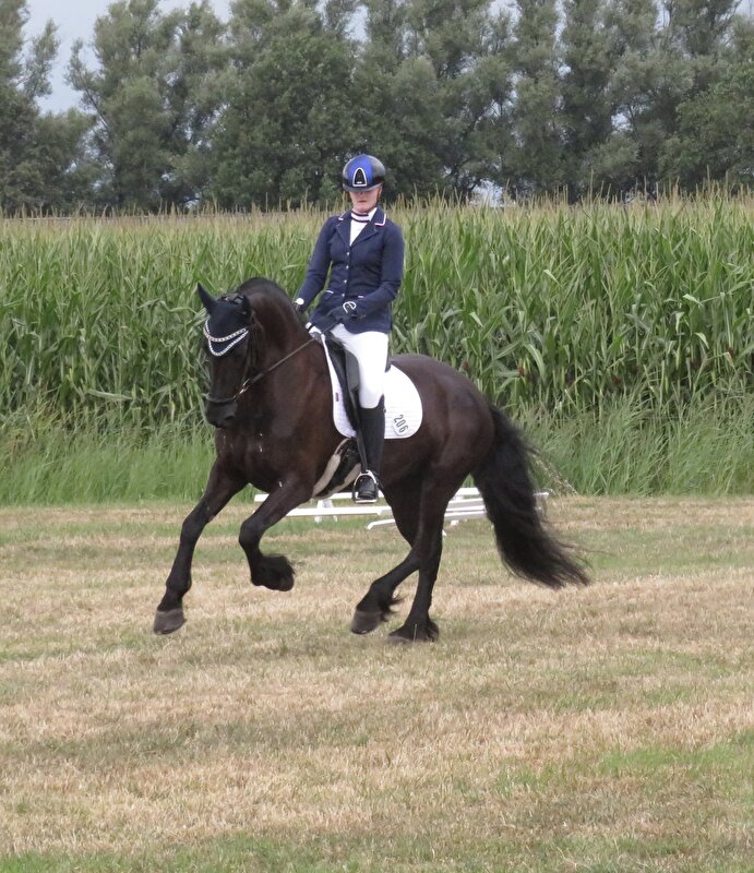 Afbeelding
