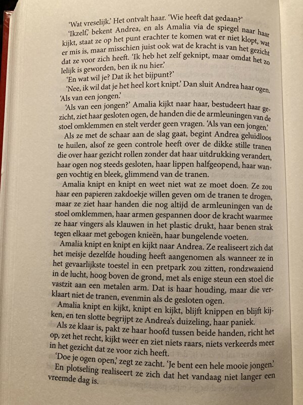 Afbeelding