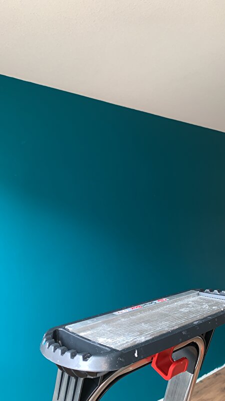 Huh Misbruik doen alsof Welke kleur hebben jullie op de muur? • Bokt.nl