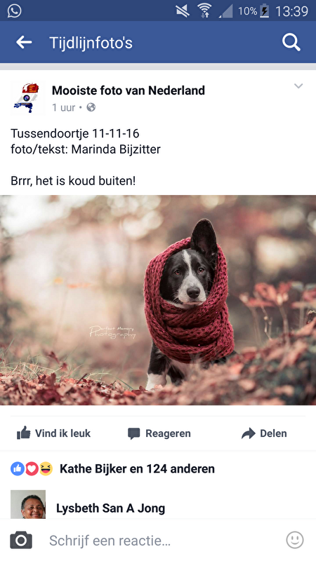 Afbeelding