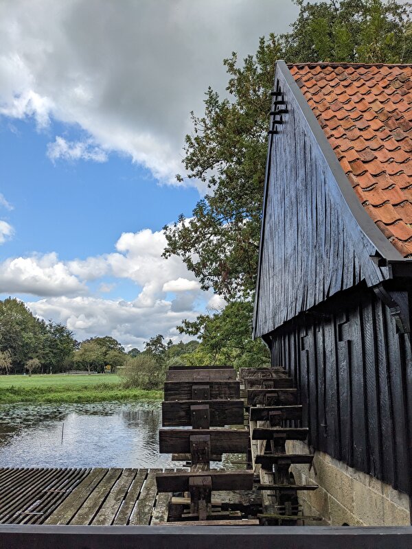 Afbeelding
