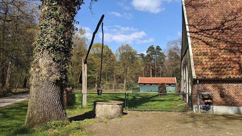 Afbeelding