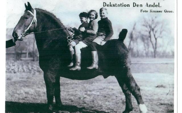 Afbeelding