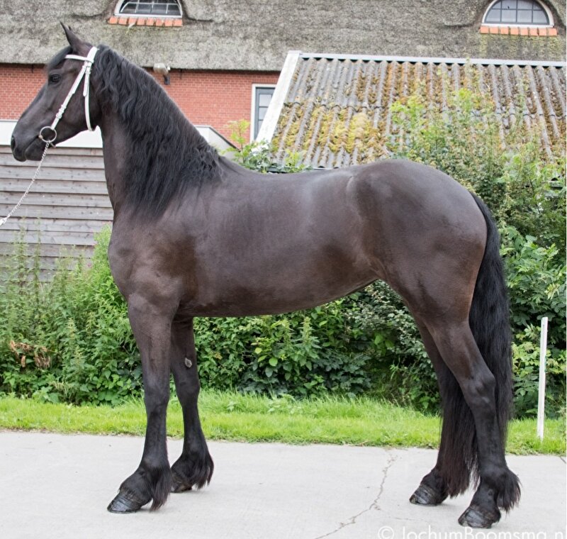 Afbeelding