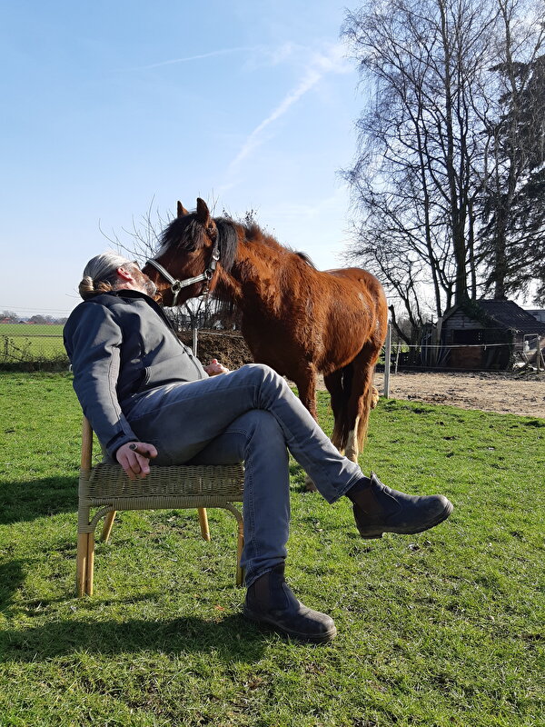 Afbeelding