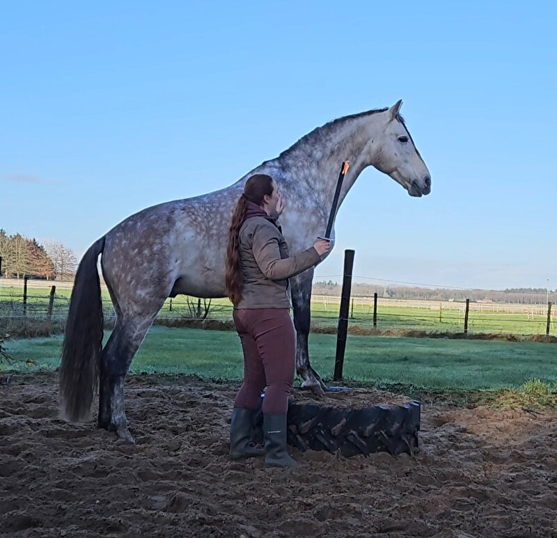 Afbeelding