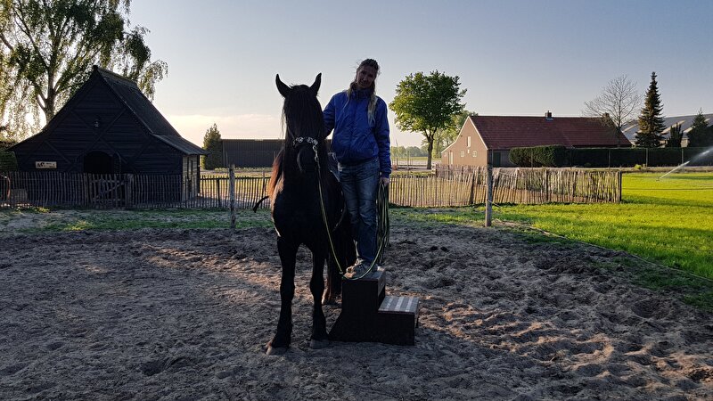 Afbeelding