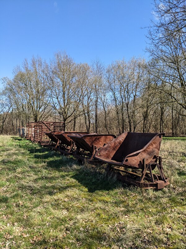 Afbeelding