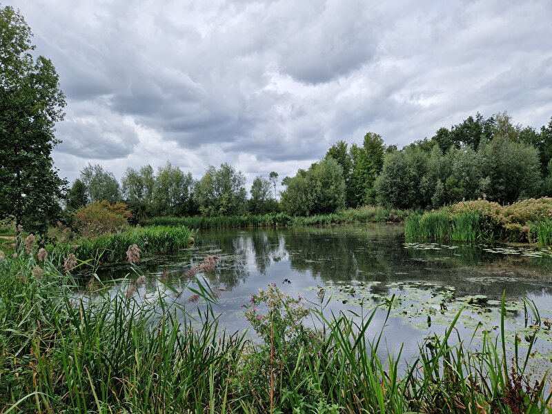 Afbeelding