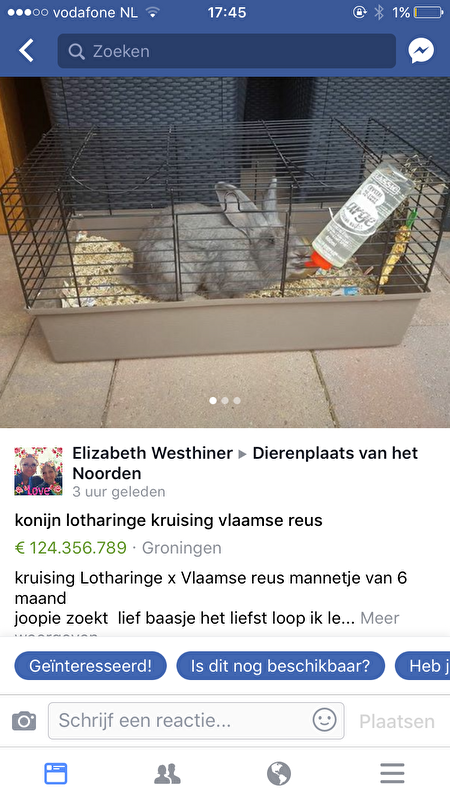 Afbeelding