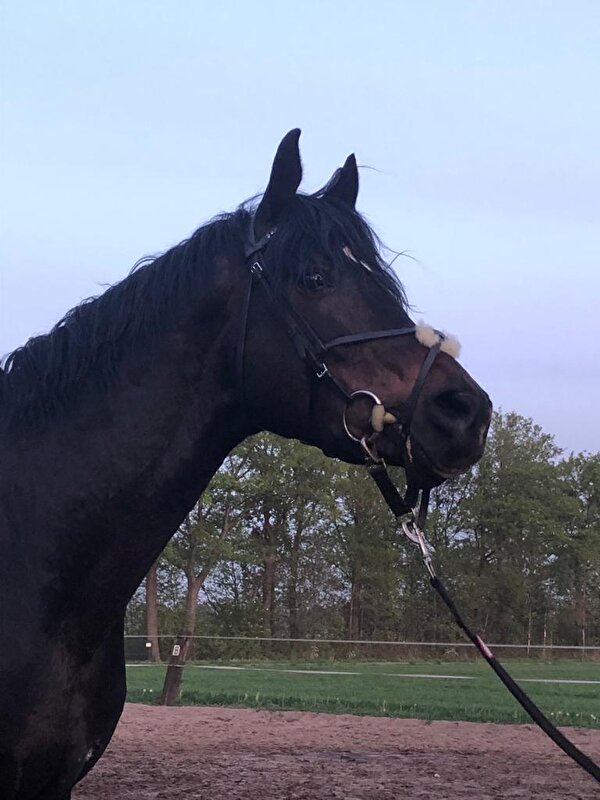 Afbeelding