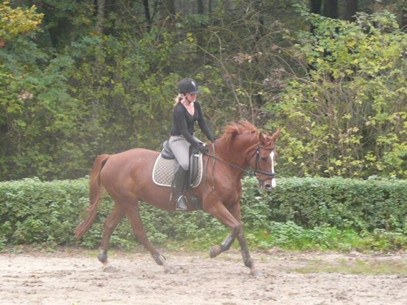 Afbeelding