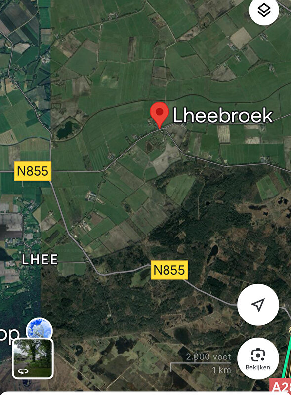 Afbeelding