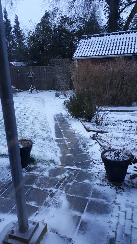 Afbeelding