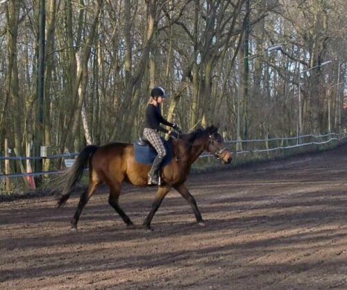 Afbeelding