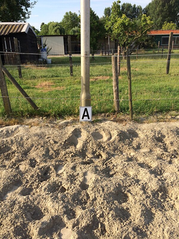 Afbeelding