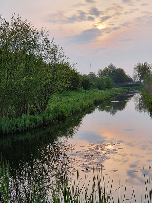 Afbeelding