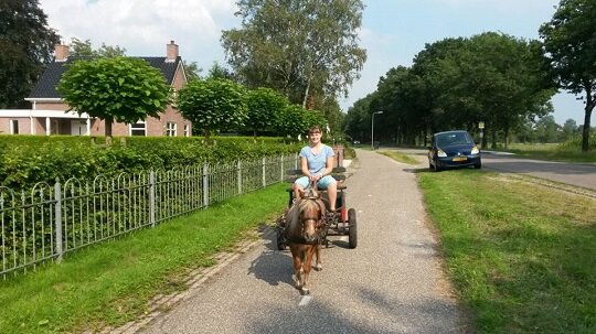 Afbeelding