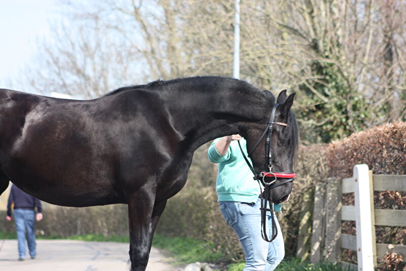 Afbeelding