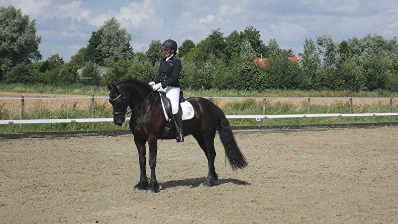 Afbeelding
