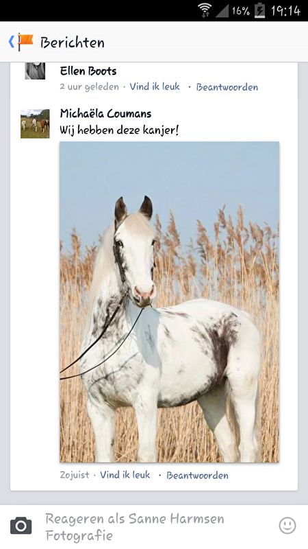 Afbeelding